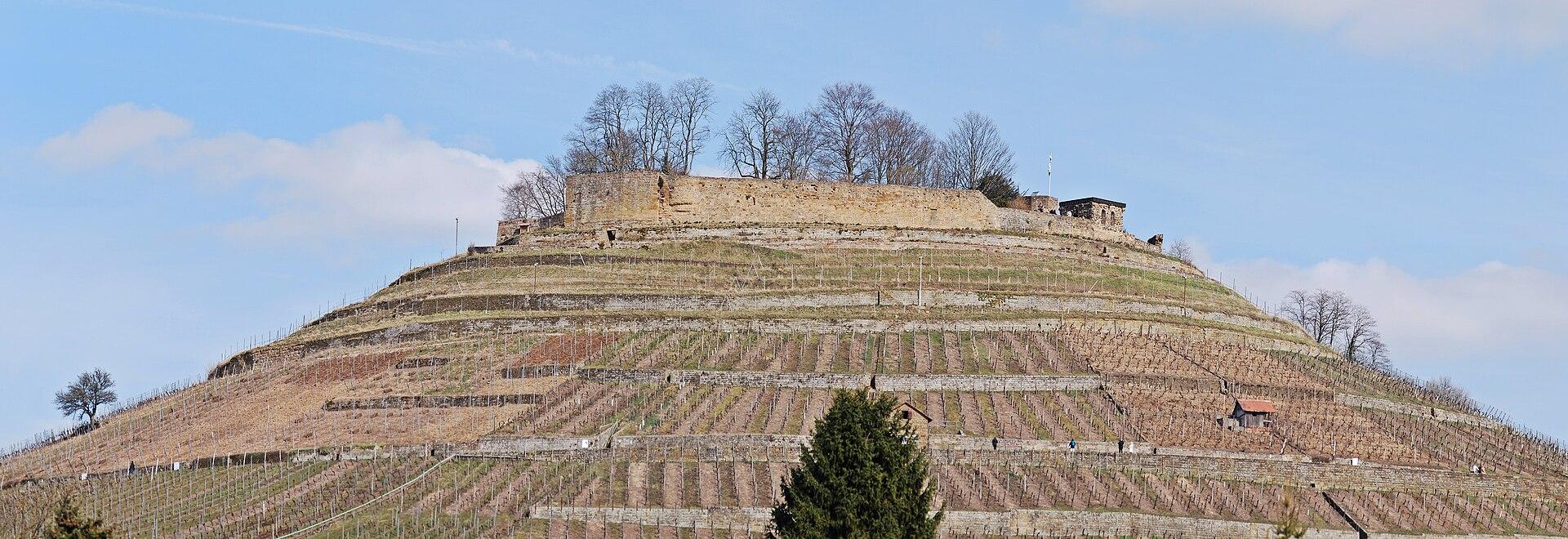 Burghügel mit der Ruine Weibertreu über Weinsberg