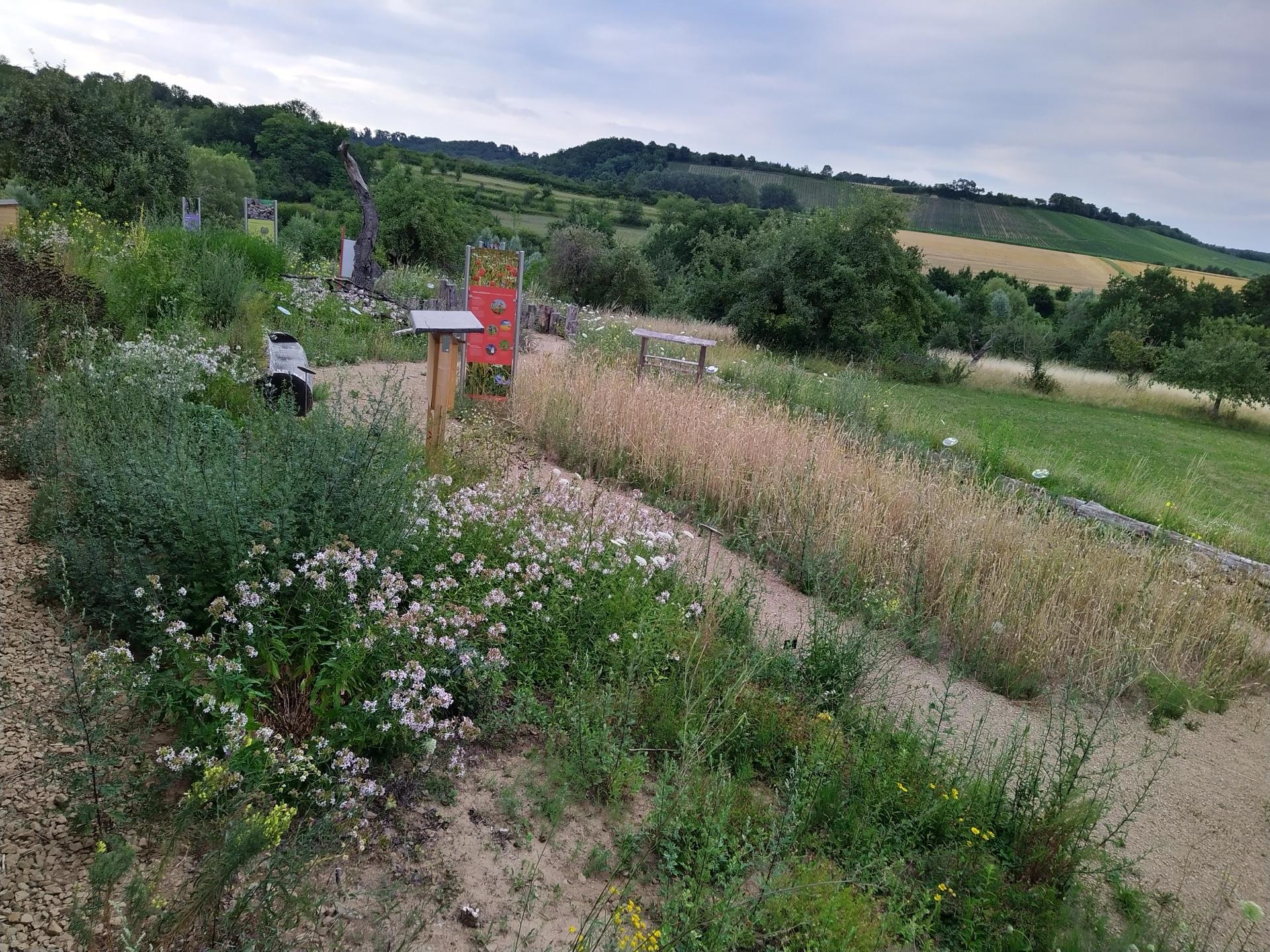 Naturparkzentrum Stromberg-Heuchelberg an der Ehmetsklinge in Zaberfeld