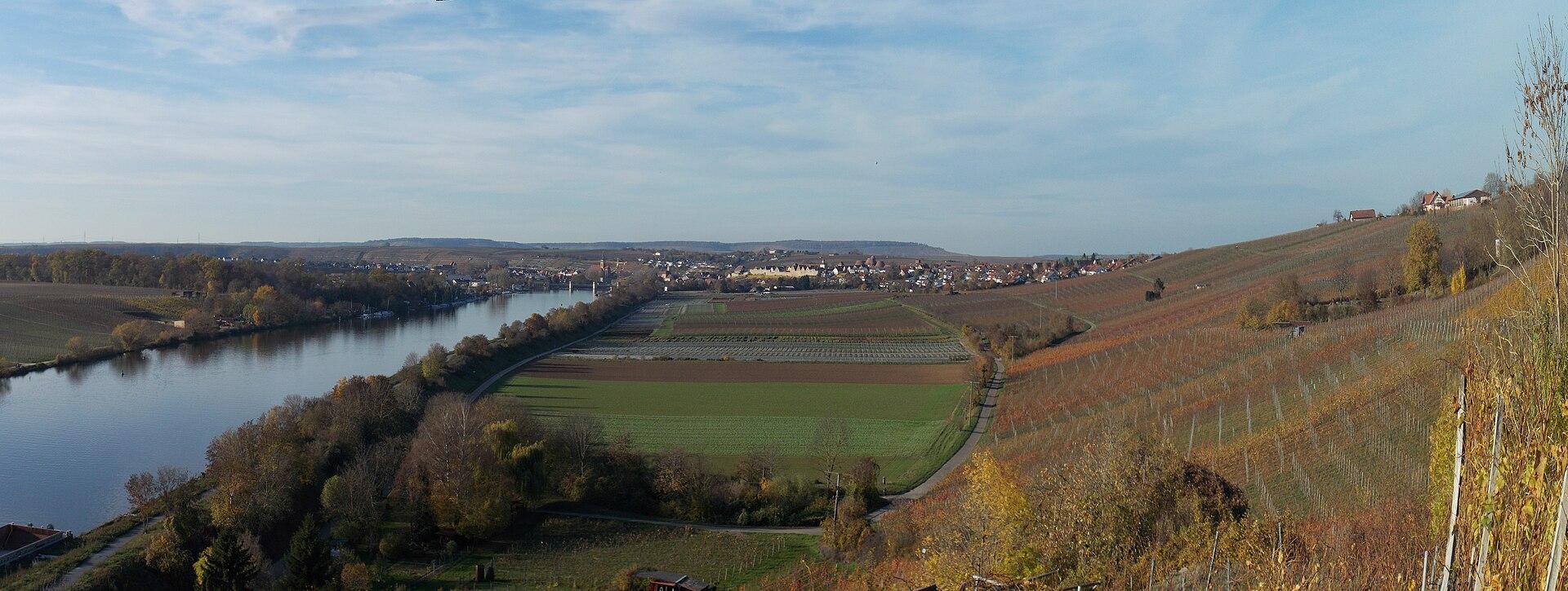 Panorama über die Weinberge und den Neckar bei Lauffen
